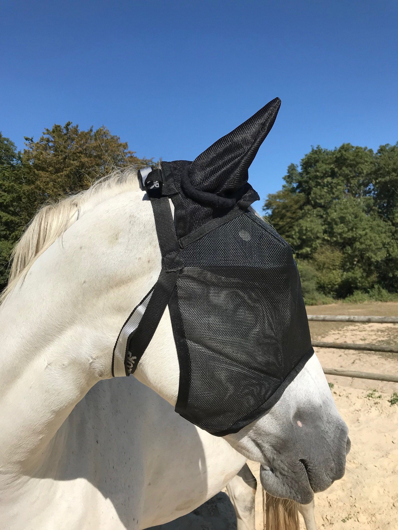 Pack Premium equidiva + Léger Equivizor avec cache-oreilles